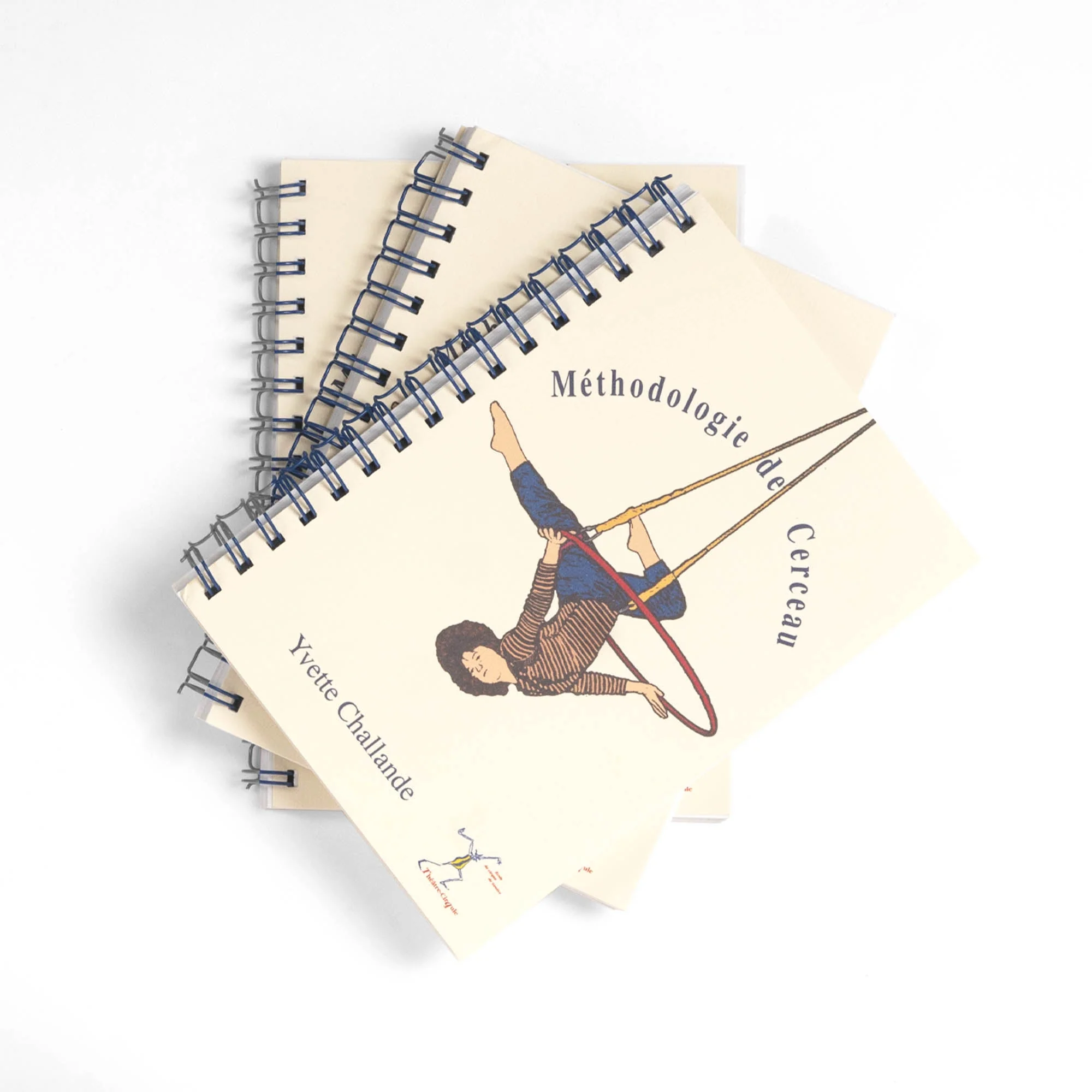 Aerial Hoop (Lyra) Methodology Book - Image 5