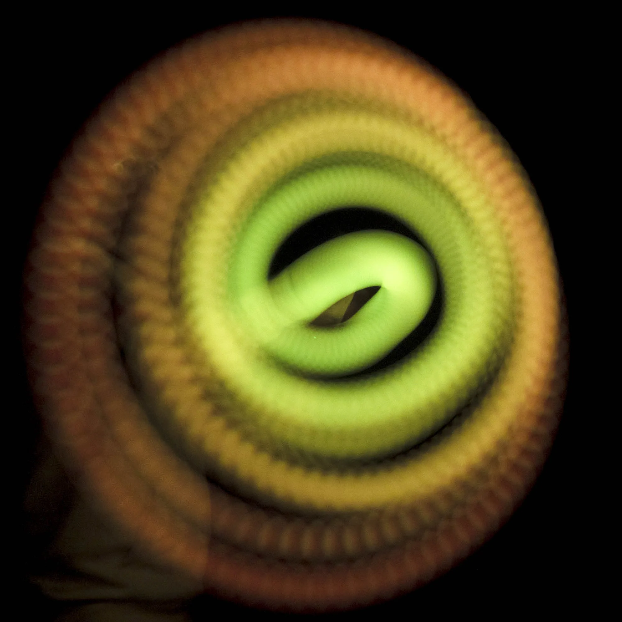 Echo Orbit : Flight - 20 function LED poi - Image 8