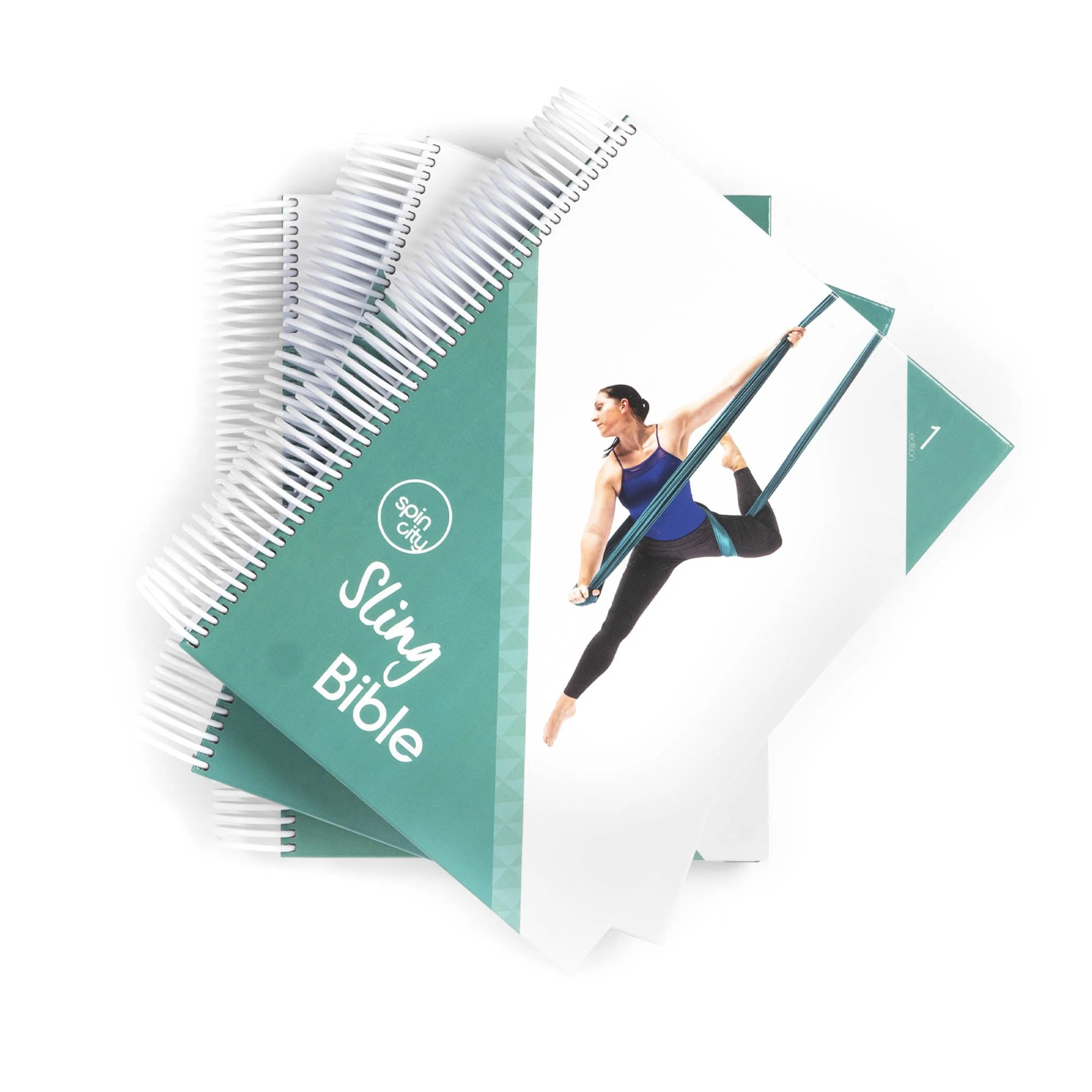 Spin City Sling Bible (1st edition) - Image 12