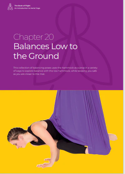 The Book Of Flight - Image 15