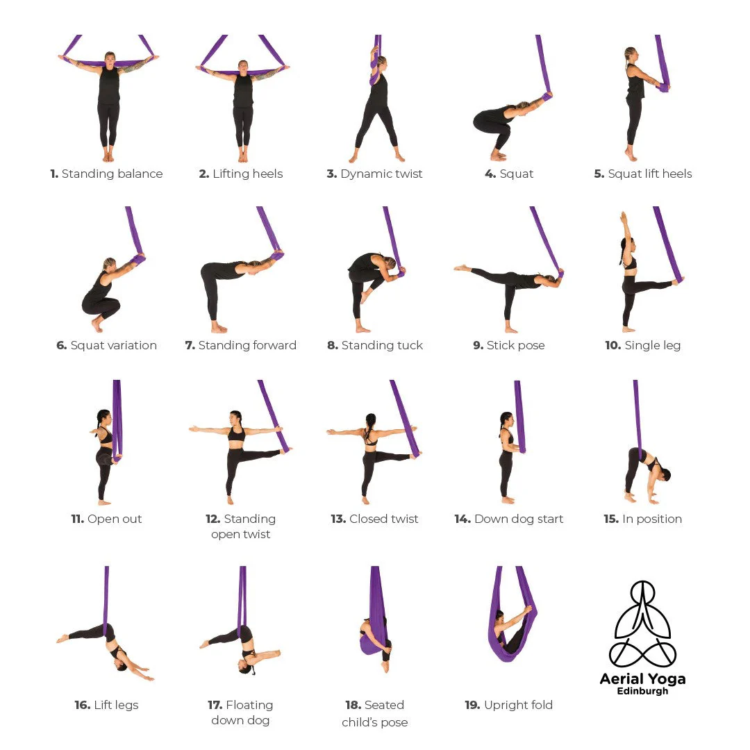 The Book Of Flight - Image 5